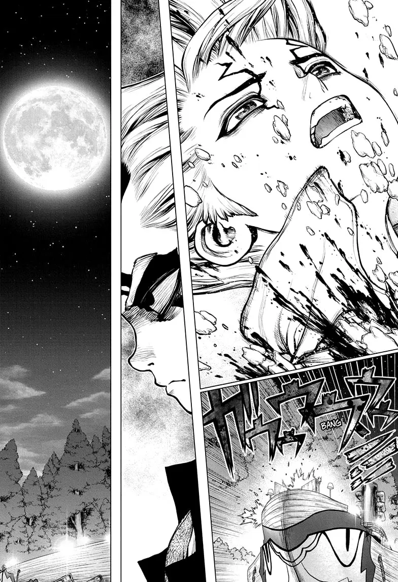Dr. Stone capítulo 160, página 3