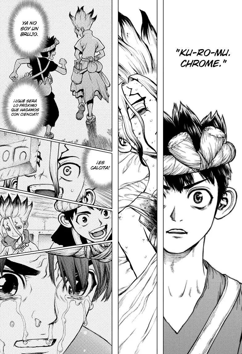 Dr. Stone capítulo 160, página 17