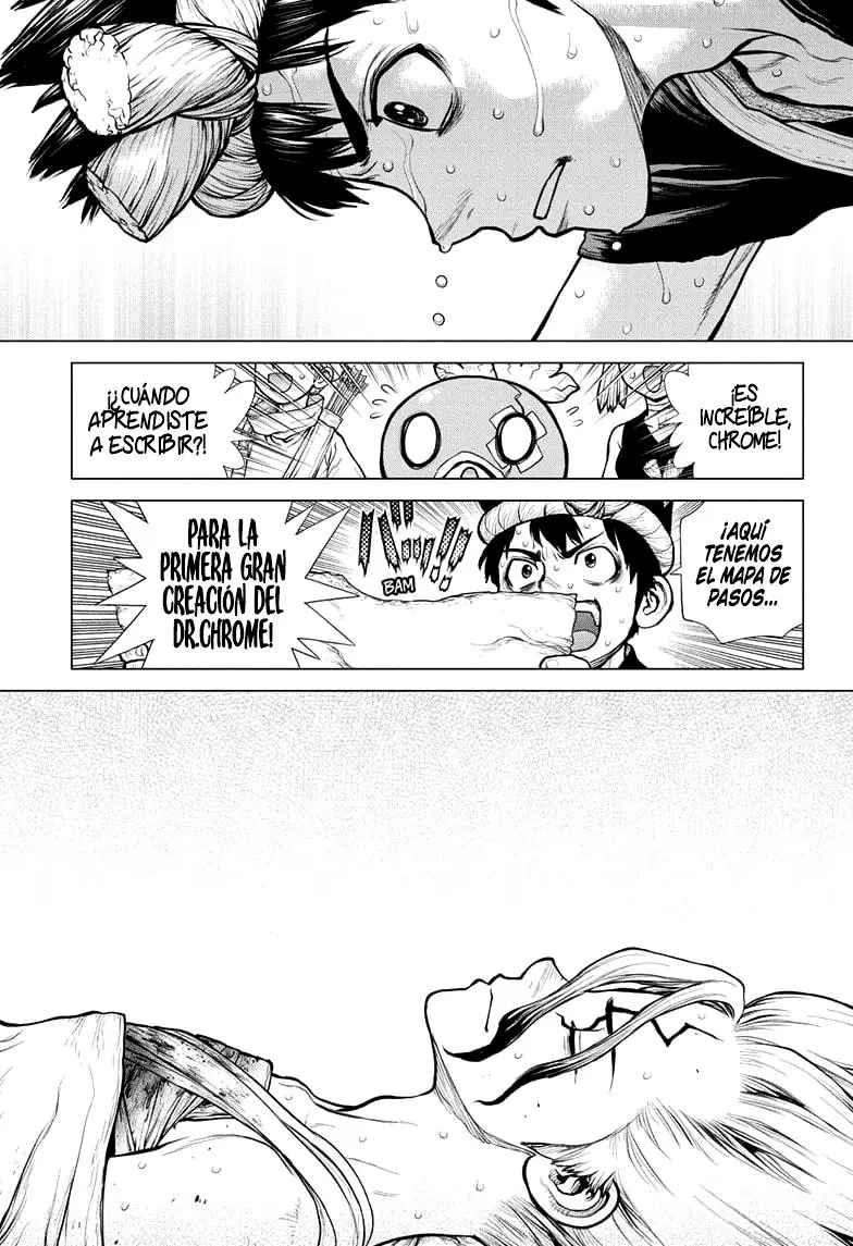 Dr. Stone capítulo 161, página 19