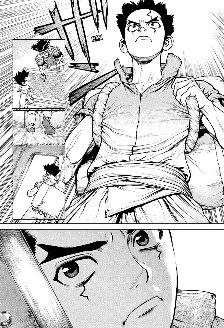 Dr. Stone capítulo 162, página 8