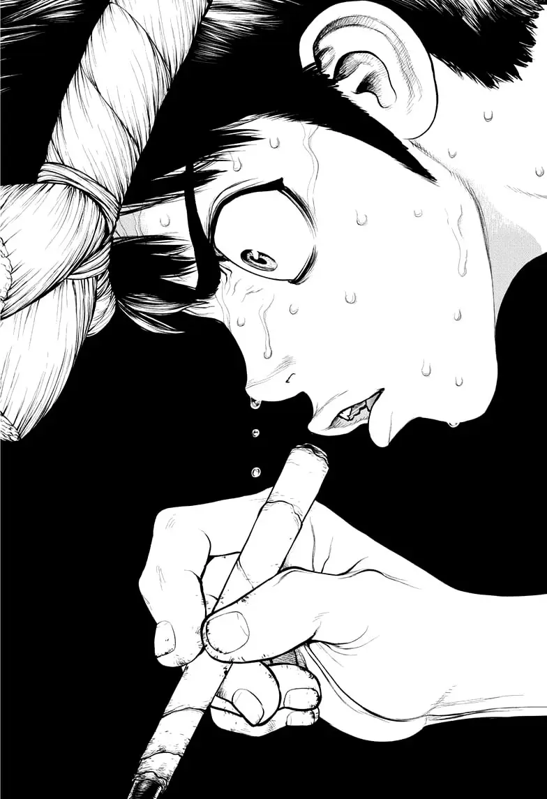 Dr. Stone capítulo 162, página 20