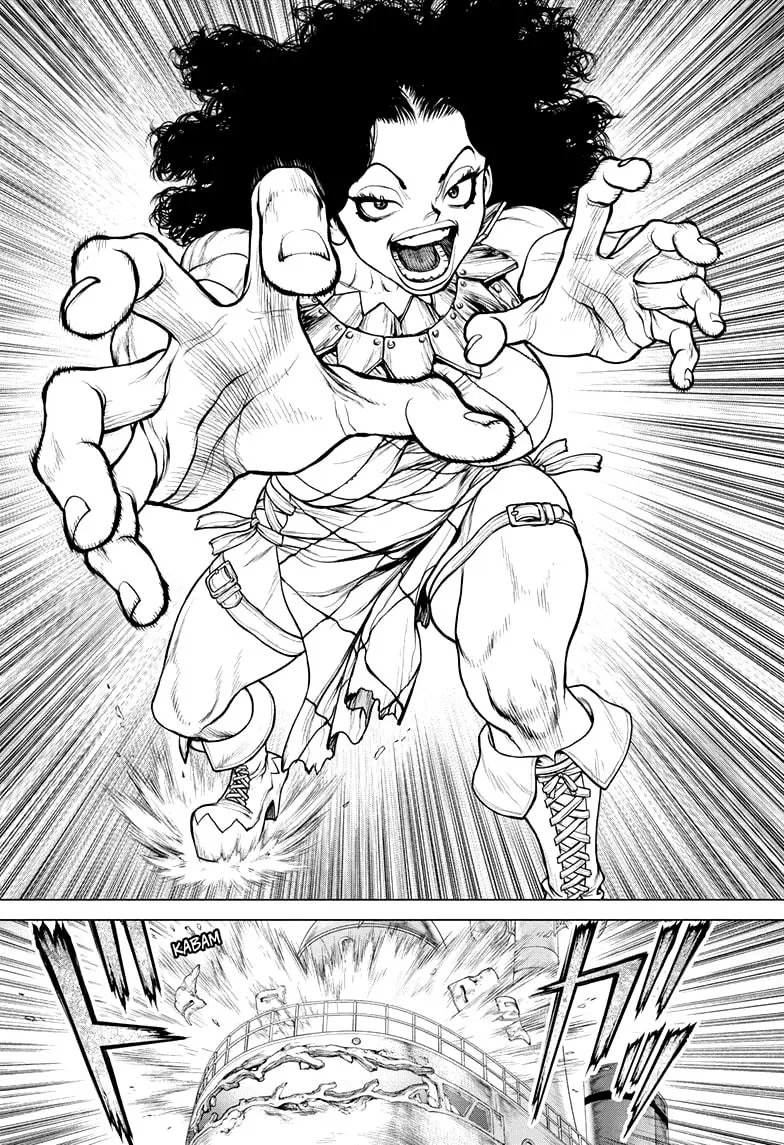 Dr. Stone capítulo 165, página 13
