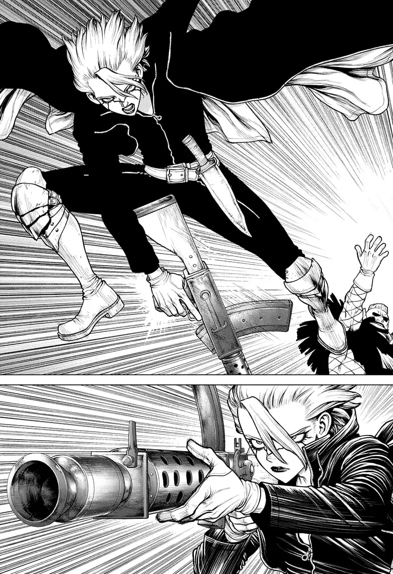 Dr. Stone capítulo 169, página 11