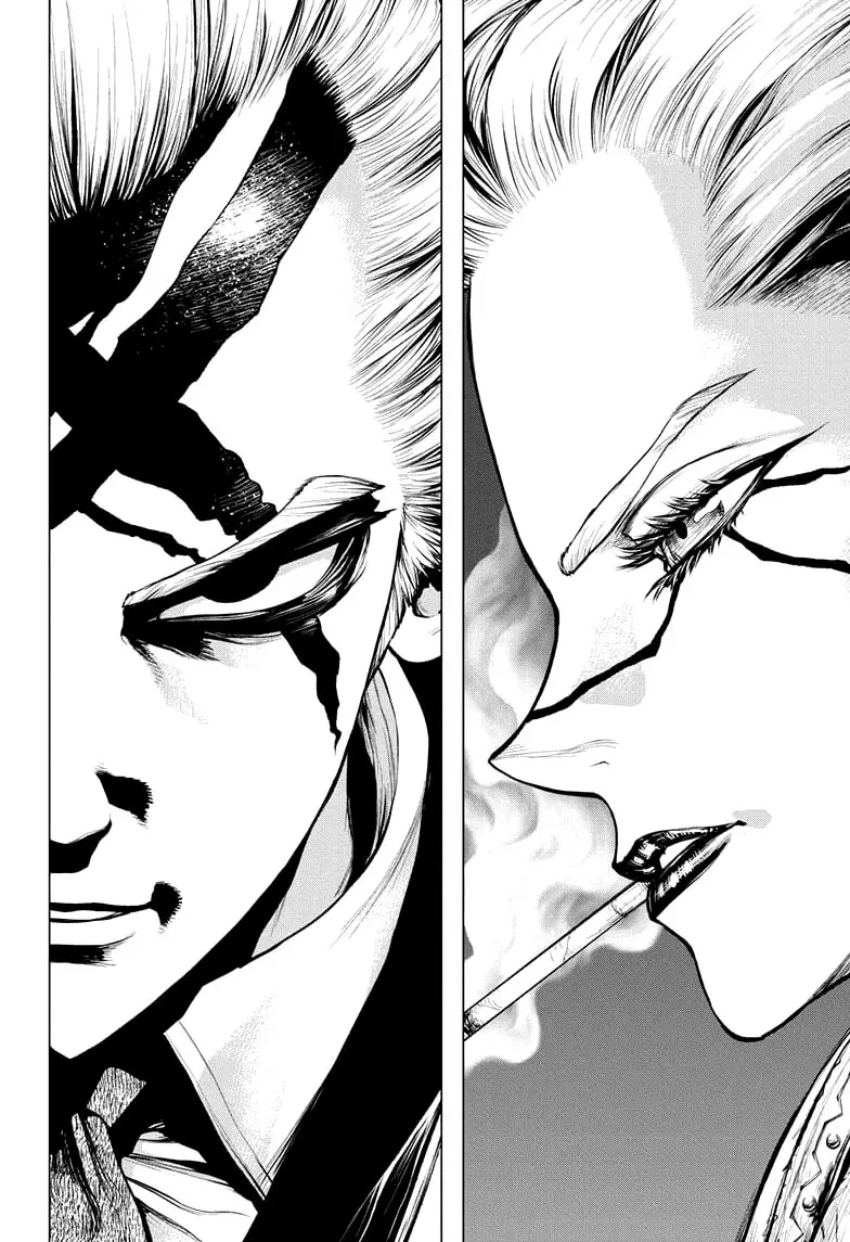 Dr. Stone capítulo 170, página 11