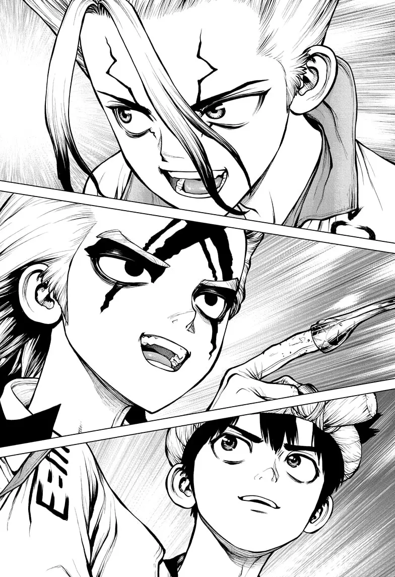 Dr. Stone capítulo 171, página 14