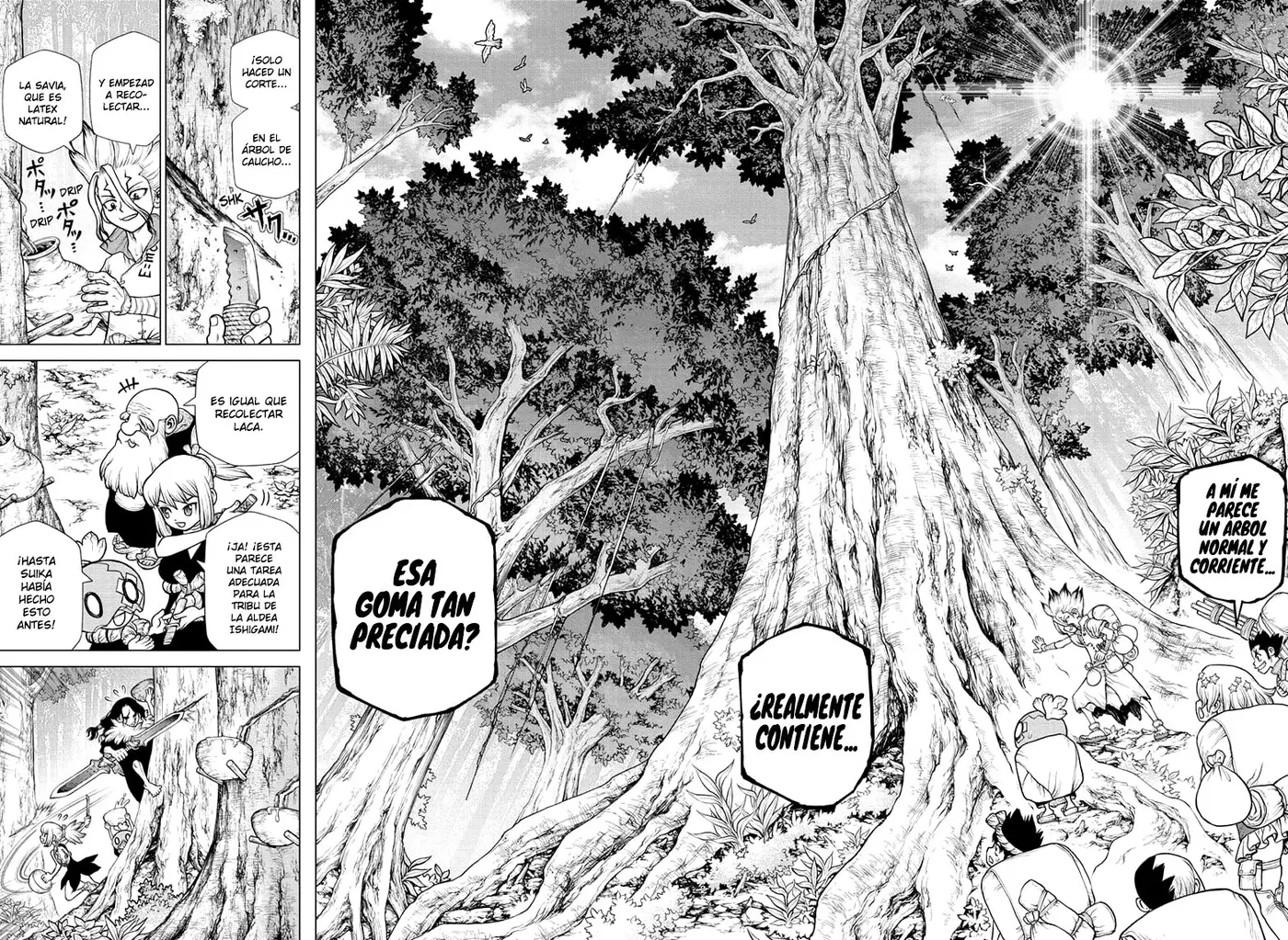 Dr. Stone capítulo 174, página 13
