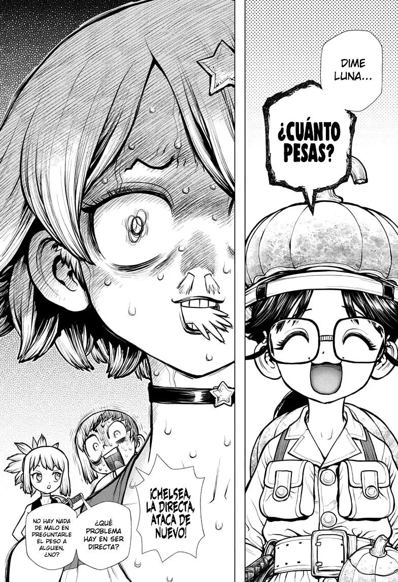 Dr. Stone capítulo 178, página 11