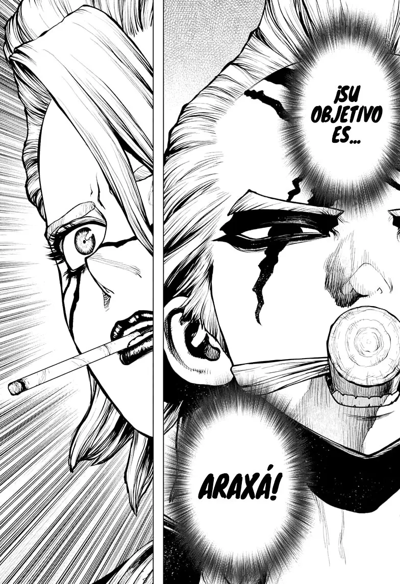 Dr. Stone capítulo 183, página 14
