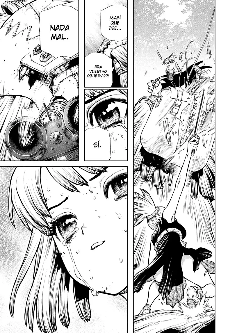 Dr. Stone capítulo 188, página 14