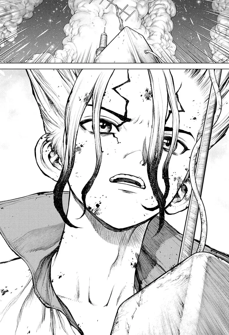 Dr. Stone capítulo 190, página 18