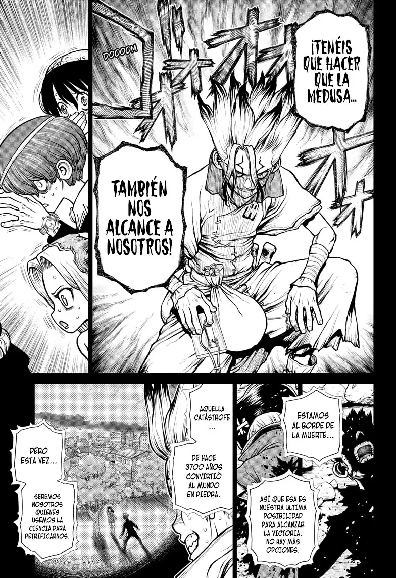 Dr. Stone capítulo 191, página 7