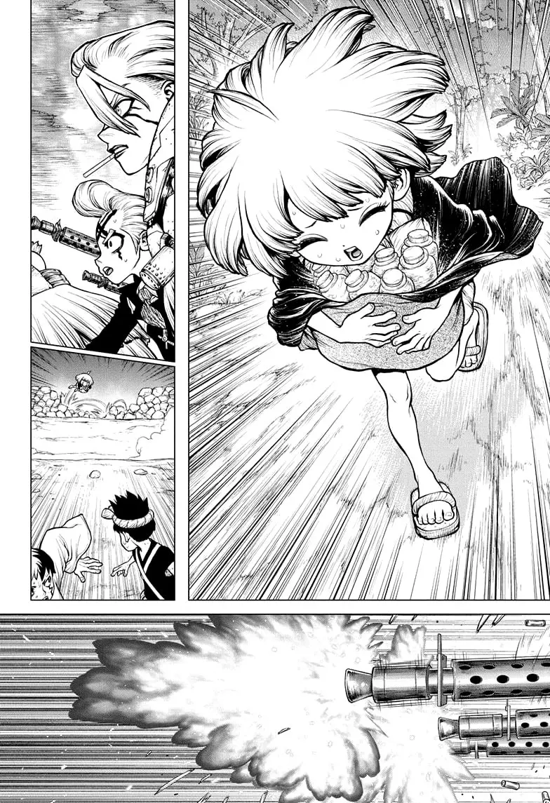 Dr. Stone capítulo 192, página 14