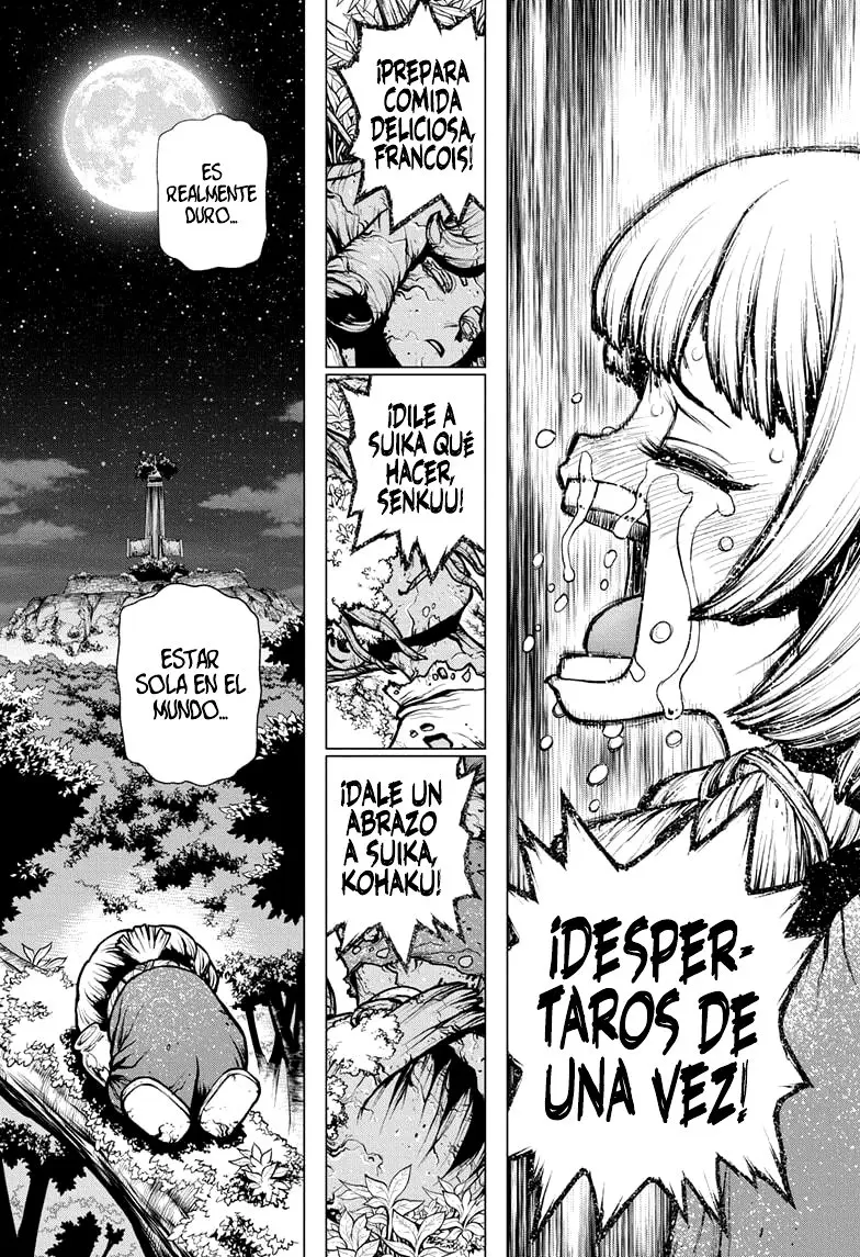 Dr. Stone capítulo 194, página 15