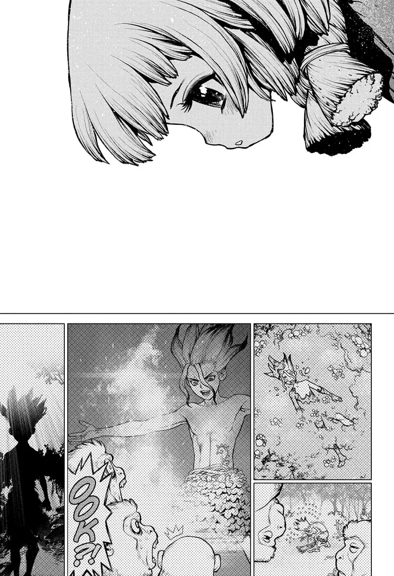 Dr. Stone capítulo 194, página 16