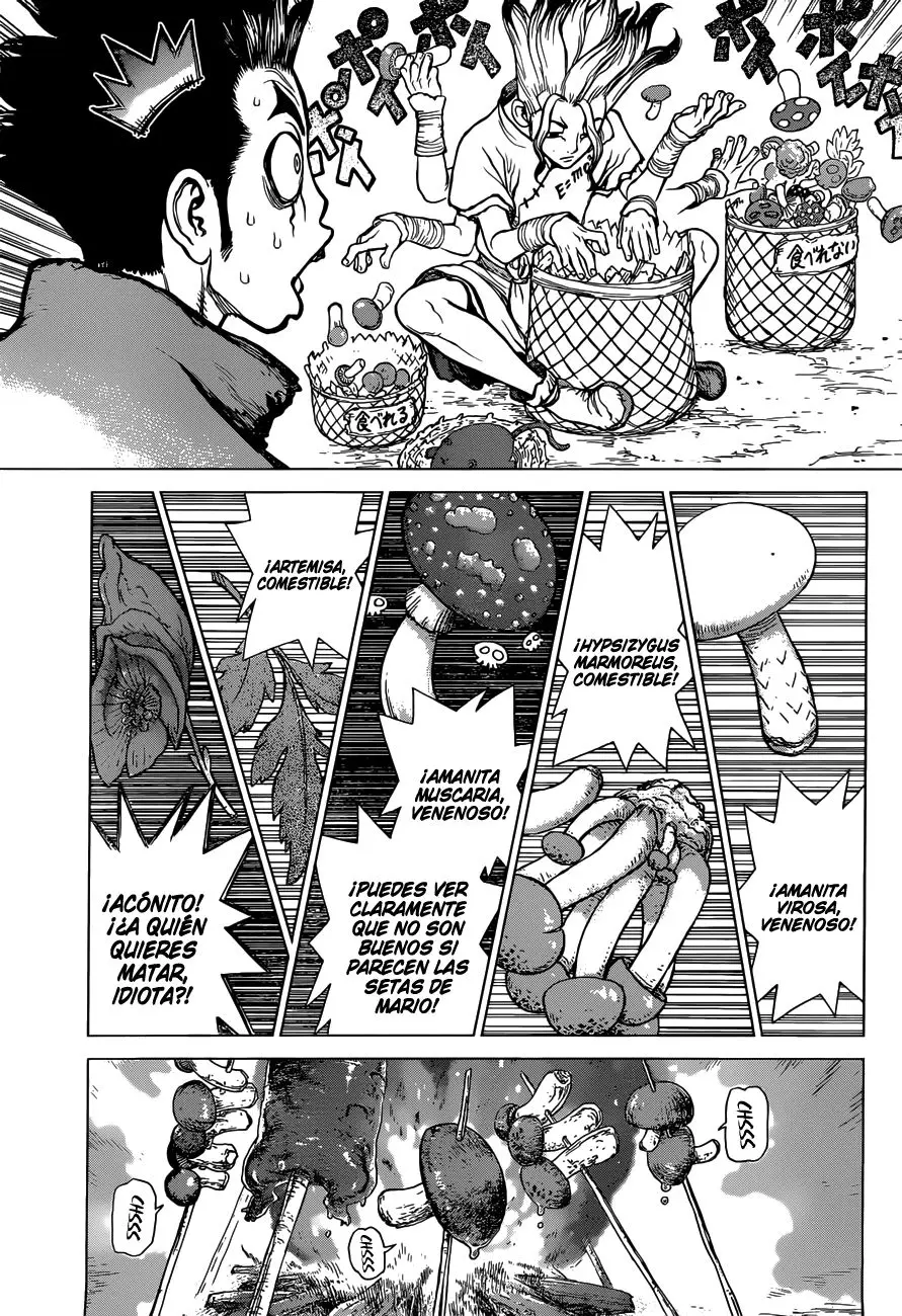 Dr. Stone capítulo 2, página 3