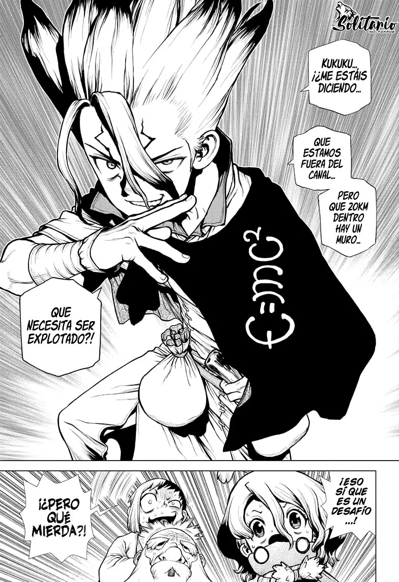 Dr. Stone capítulo 203, página 15