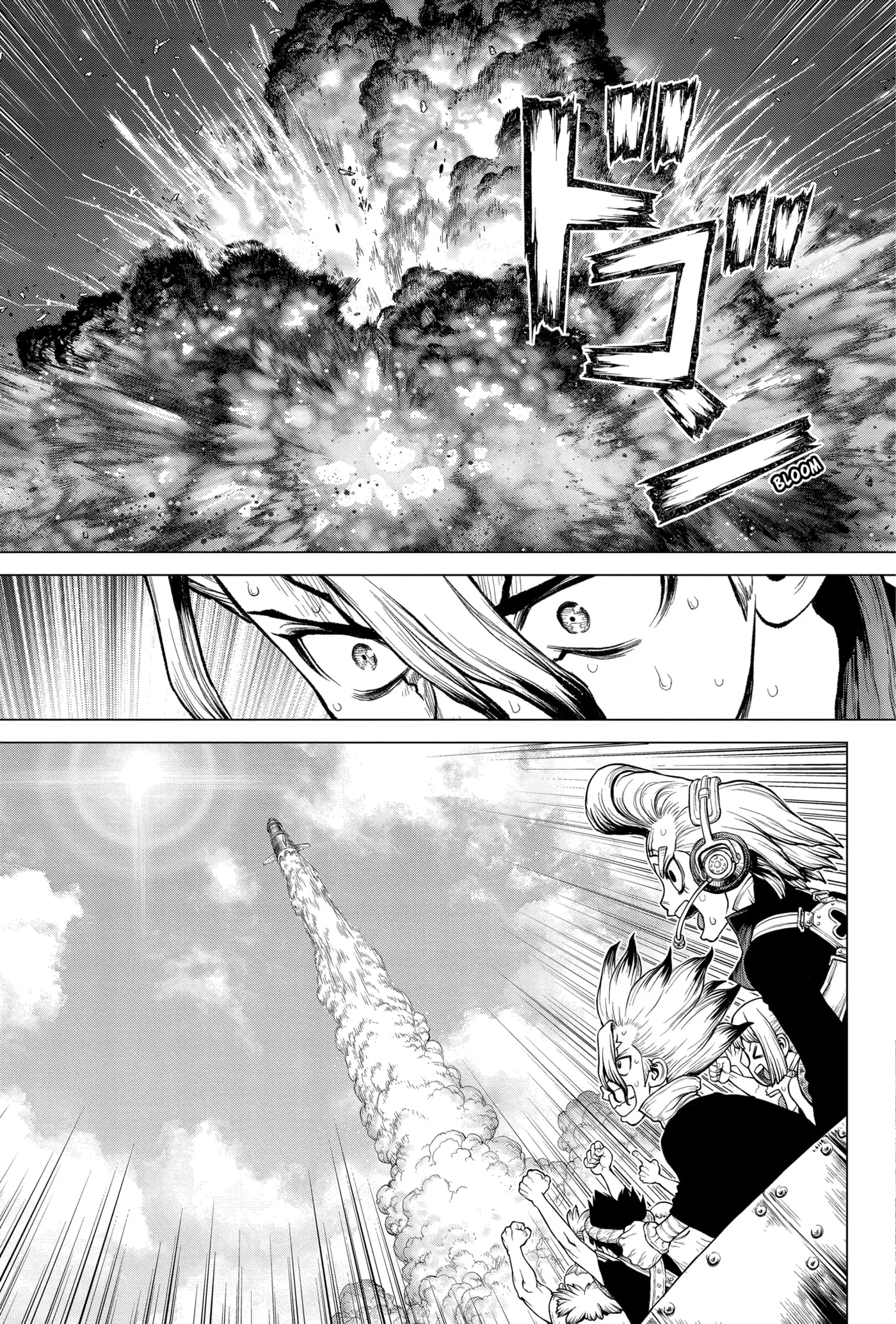 Dr. Stone capítulo 215, página 15