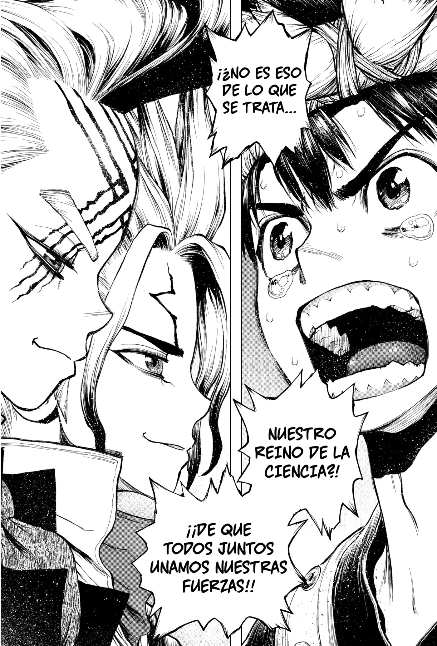 Dr. Stone capítulo 217, página 12