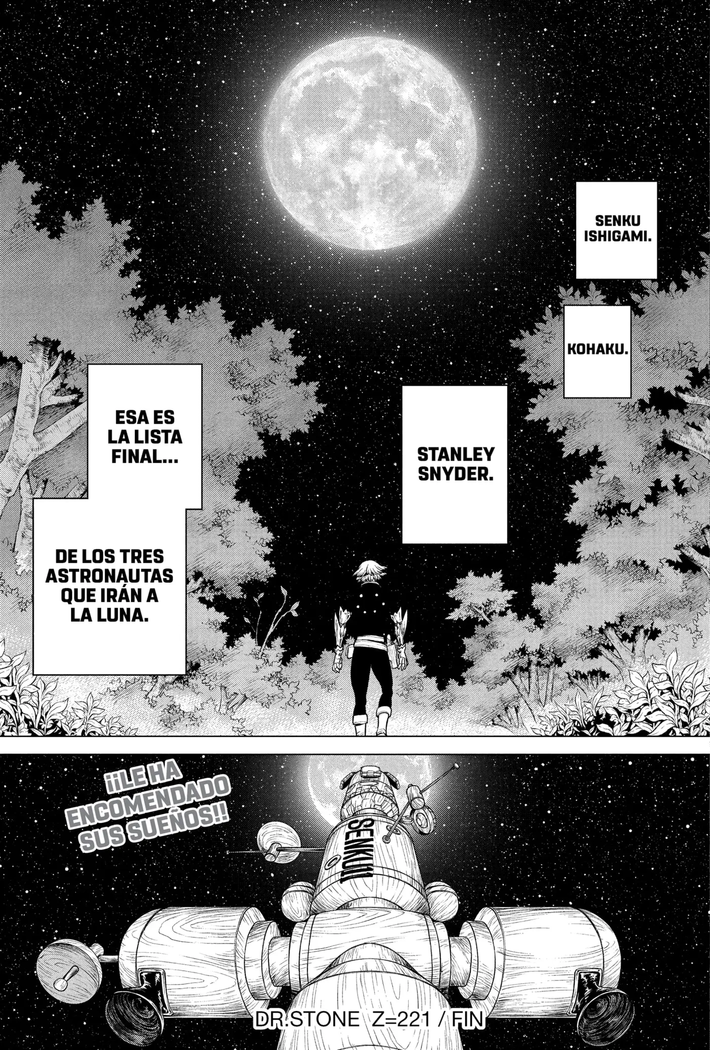 Dr. Stone capítulo 221, página 19