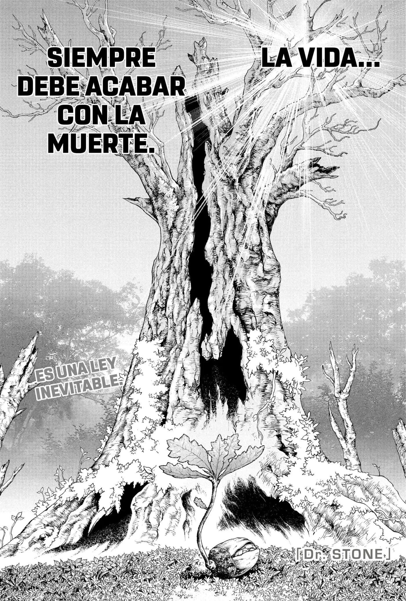 Dr. Stone capítulo 230, página 1