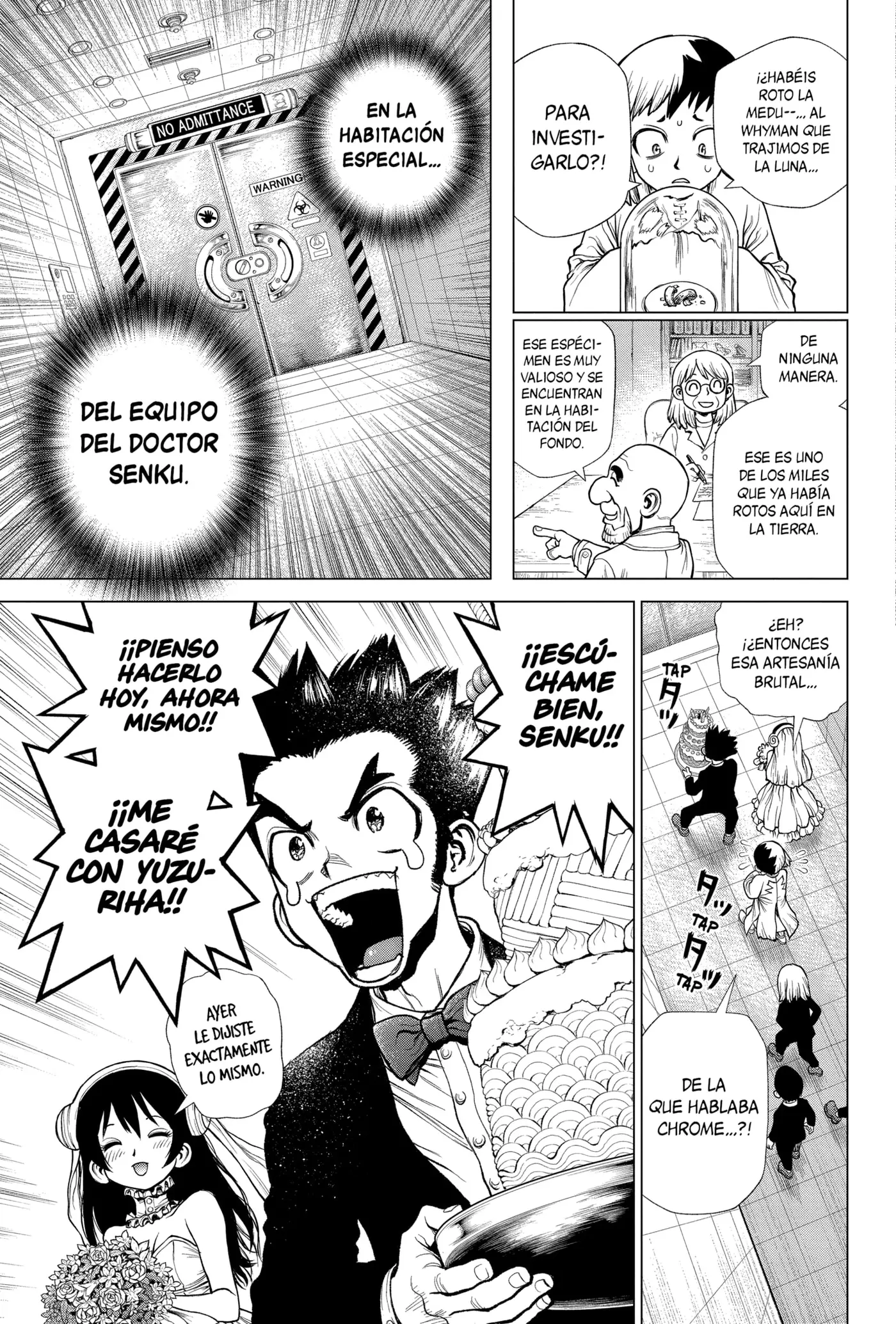 Dr. Stone capítulo 232, página 15