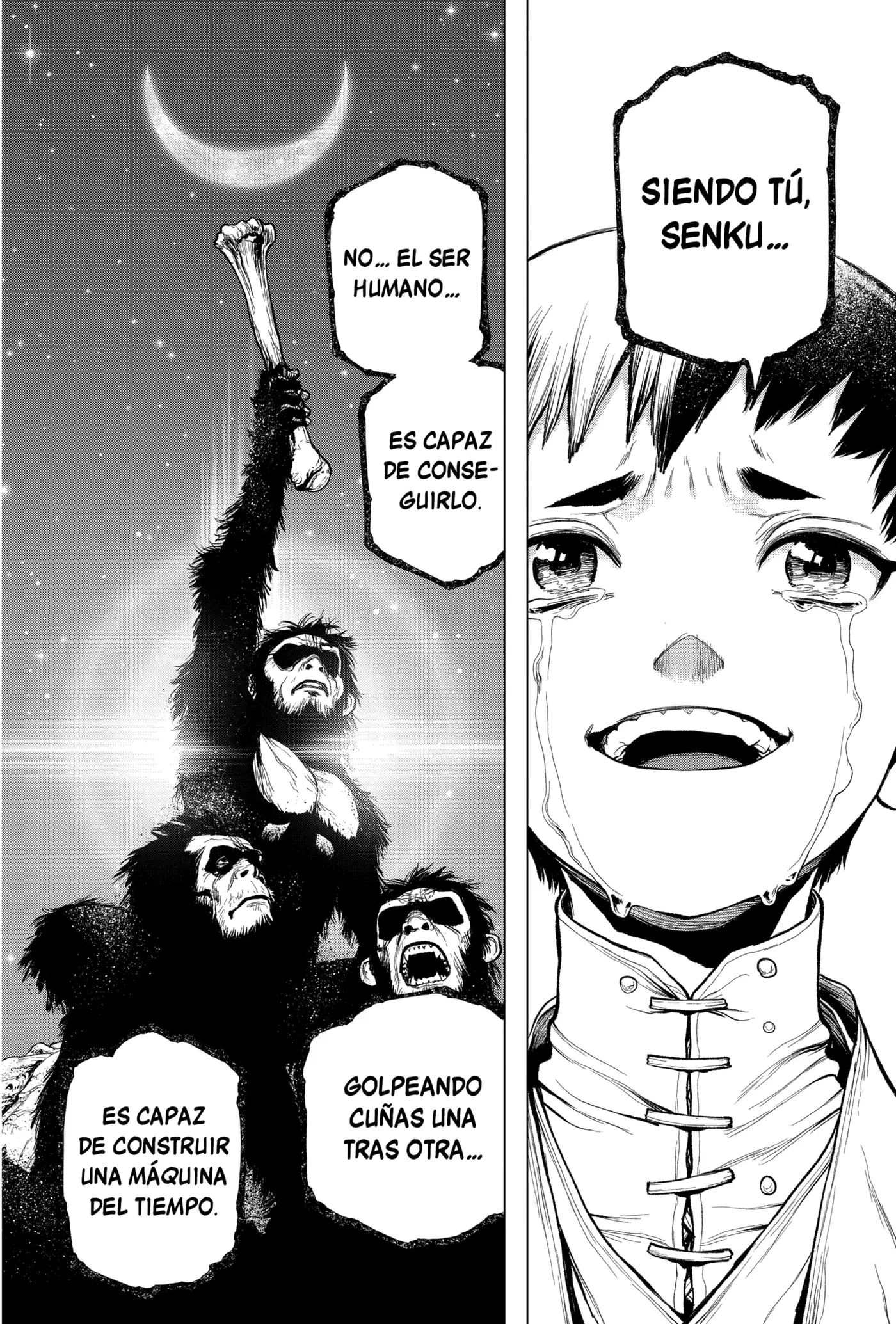 Dr. Stone capítulo 232, página 24