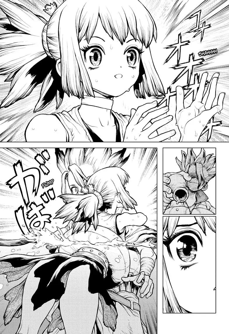 Dr. Stone capítulo 233, página 19