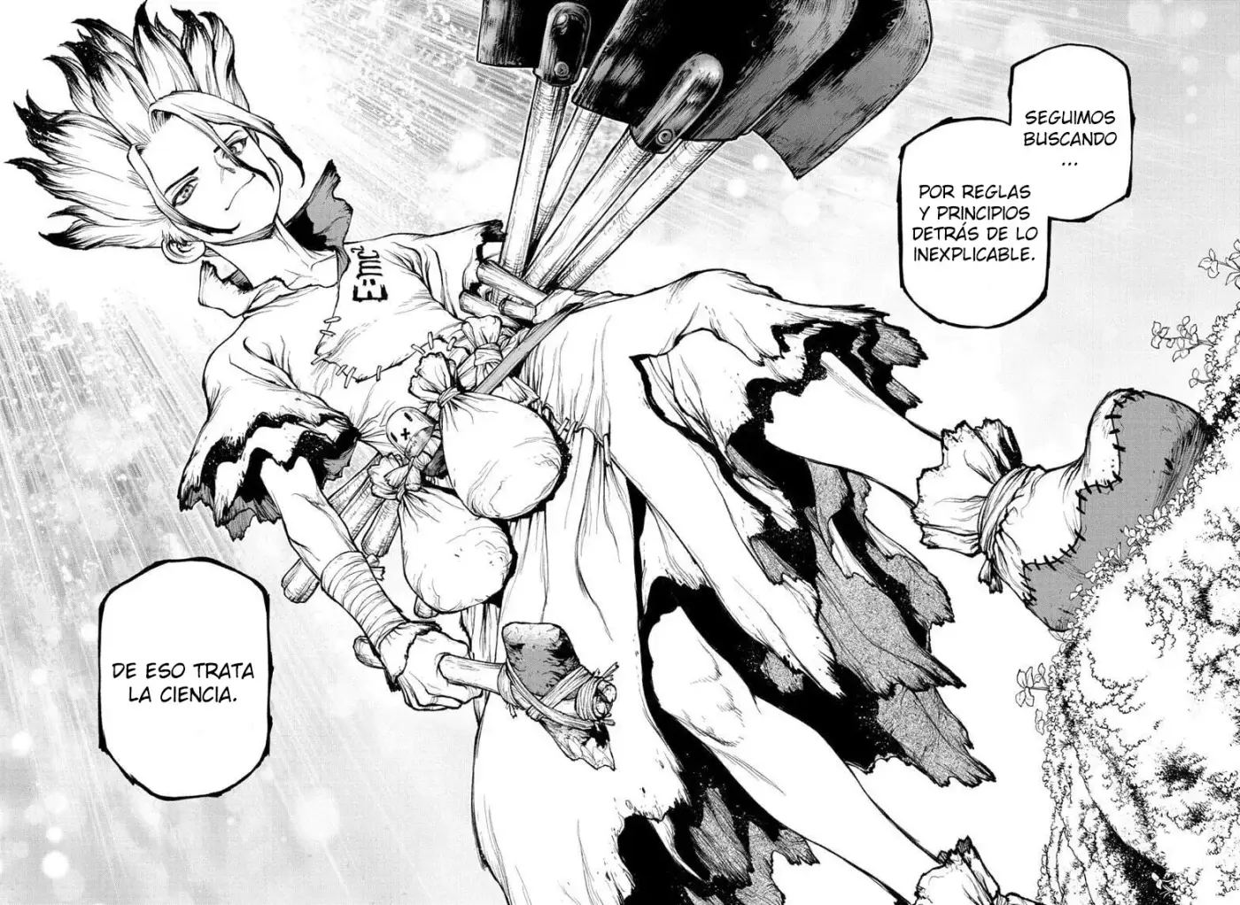 Dr. Stone capítulo 236, página 41
