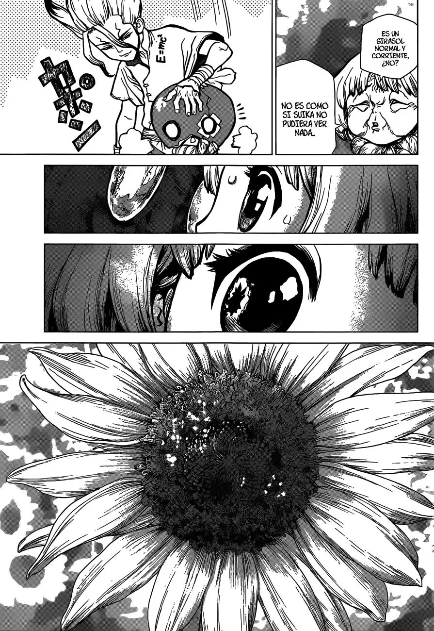 Dr. Stone capítulo 28, página 13