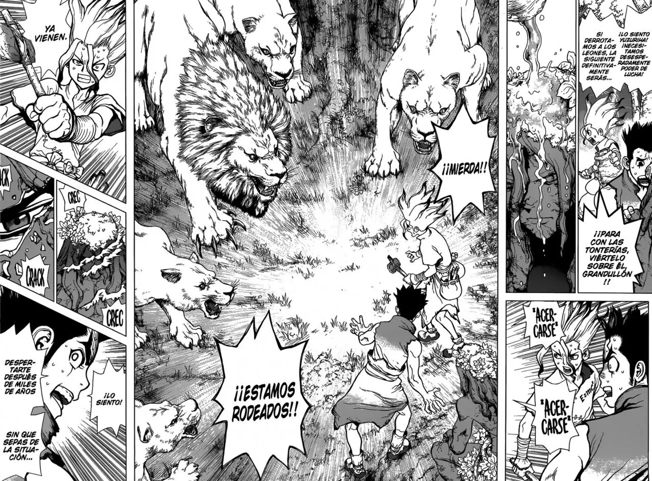 Dr. Stone capítulo 3, página 14