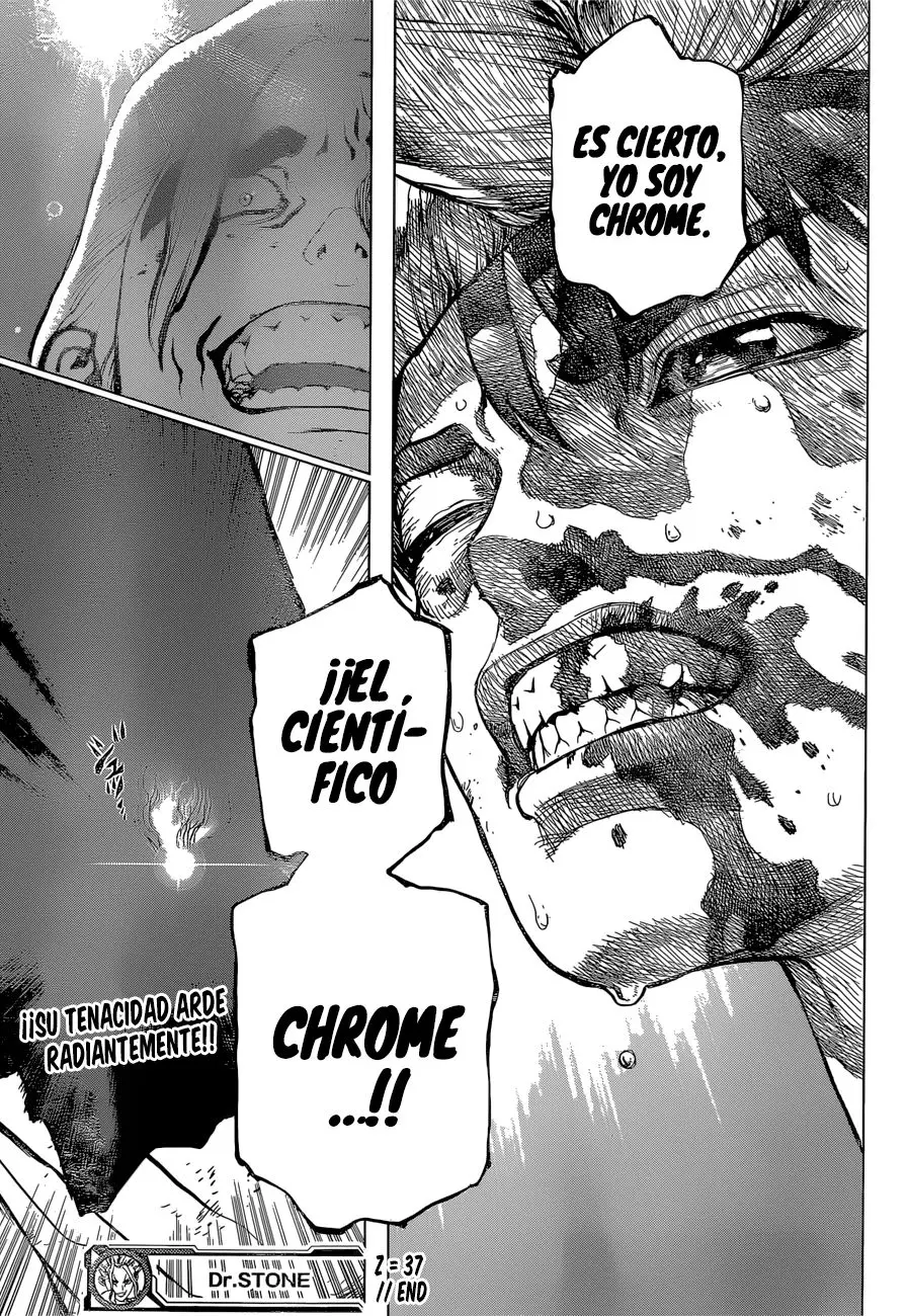 Dr. Stone capítulo 37, página 18