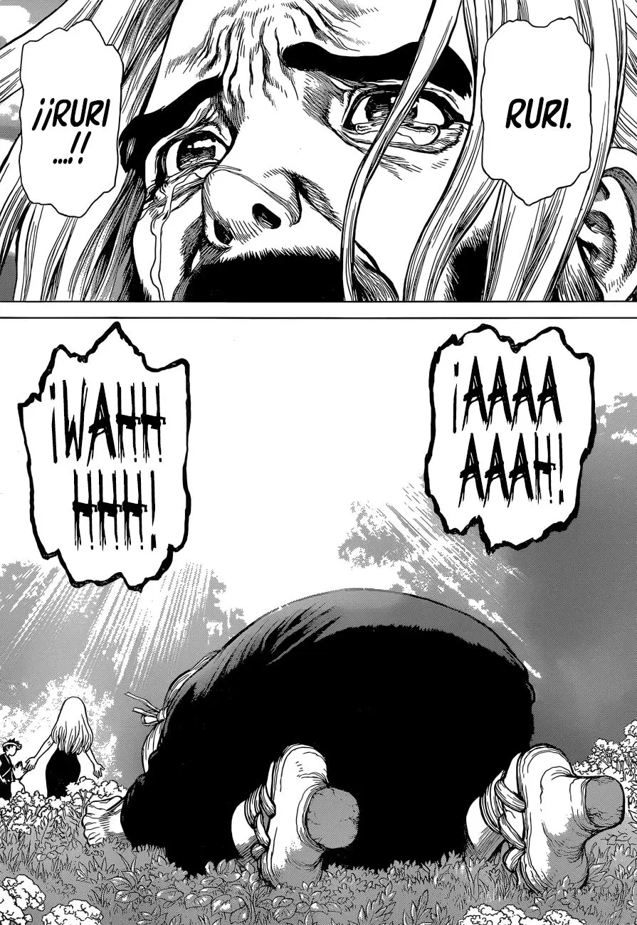 Dr. Stone capítulo 41, página 15