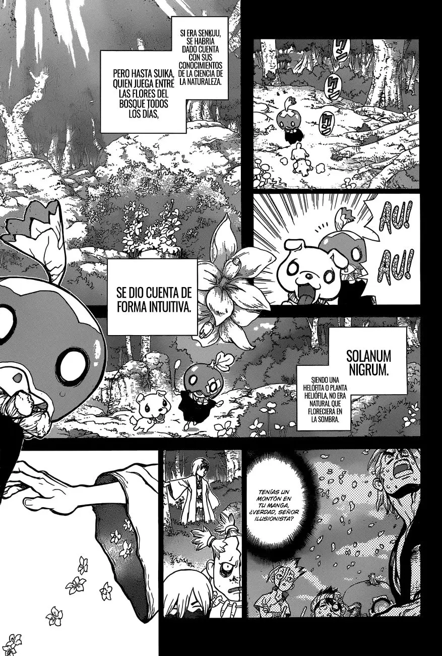 Dr. Stone capítulo 48, página 15