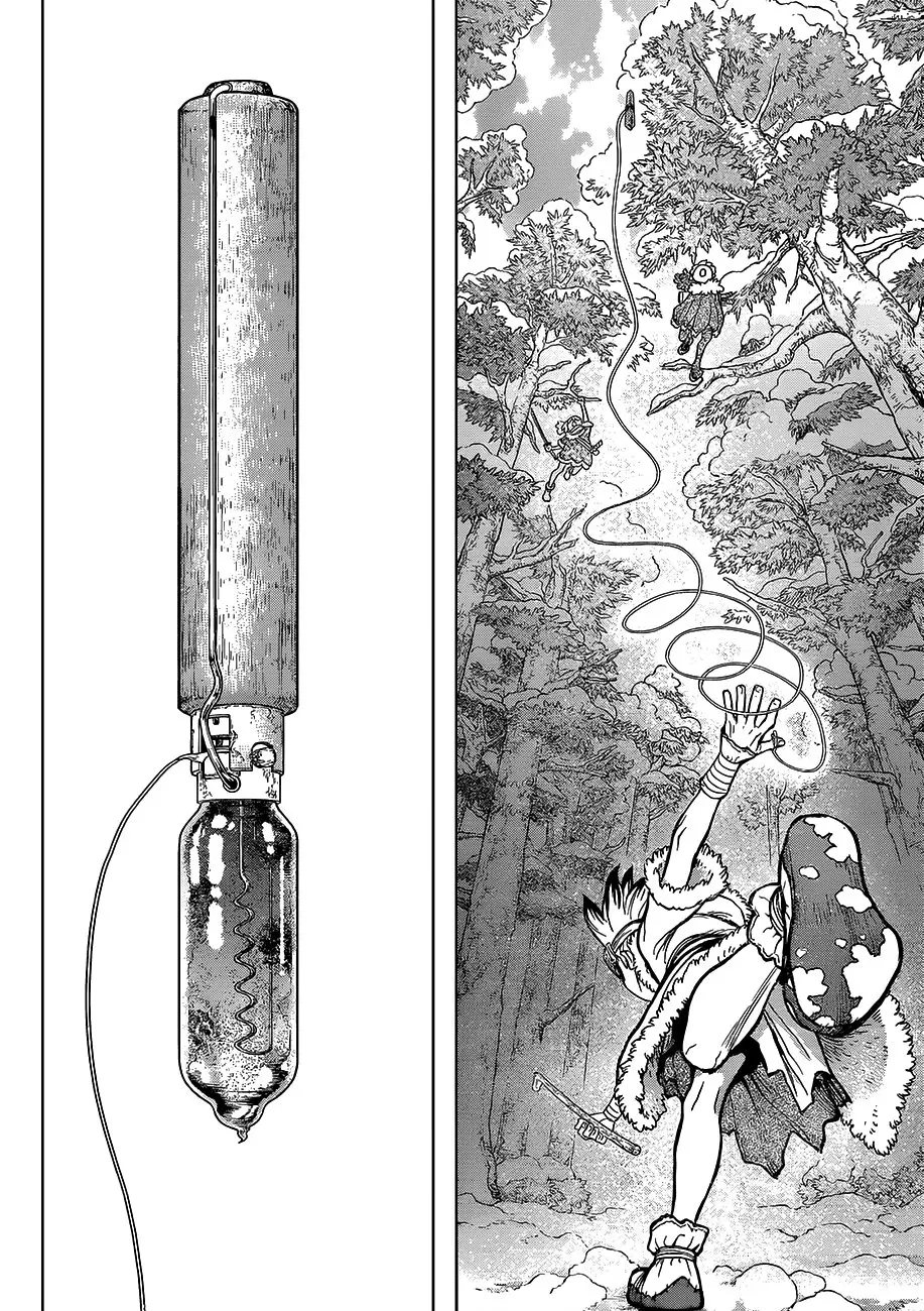 Dr. Stone capítulo 62, página 9