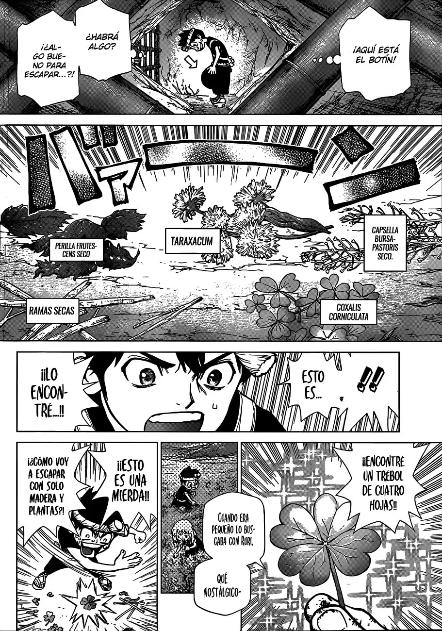 Dr. Stone capítulo 71, página 7