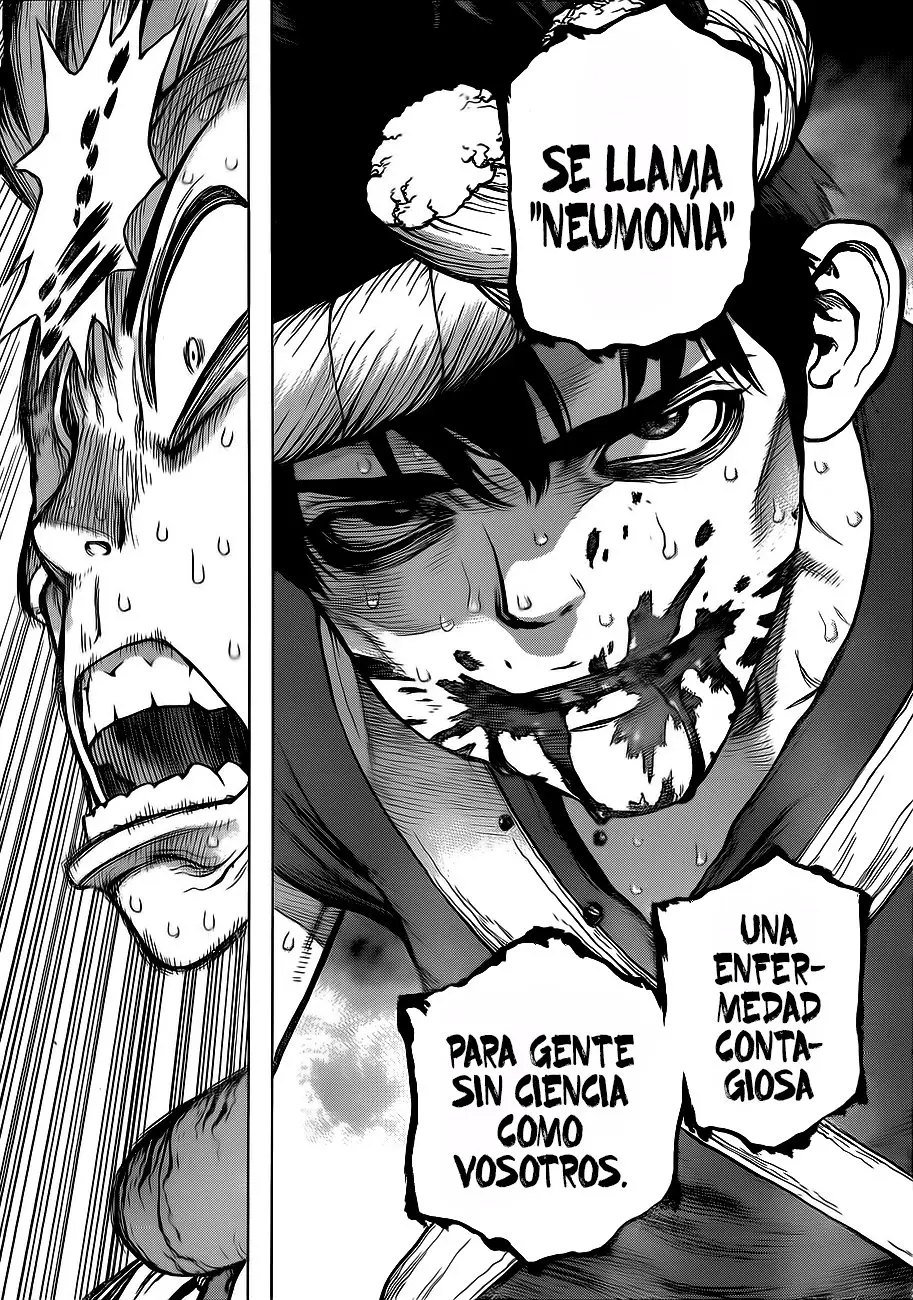 Dr. Stone capítulo 72, página 11