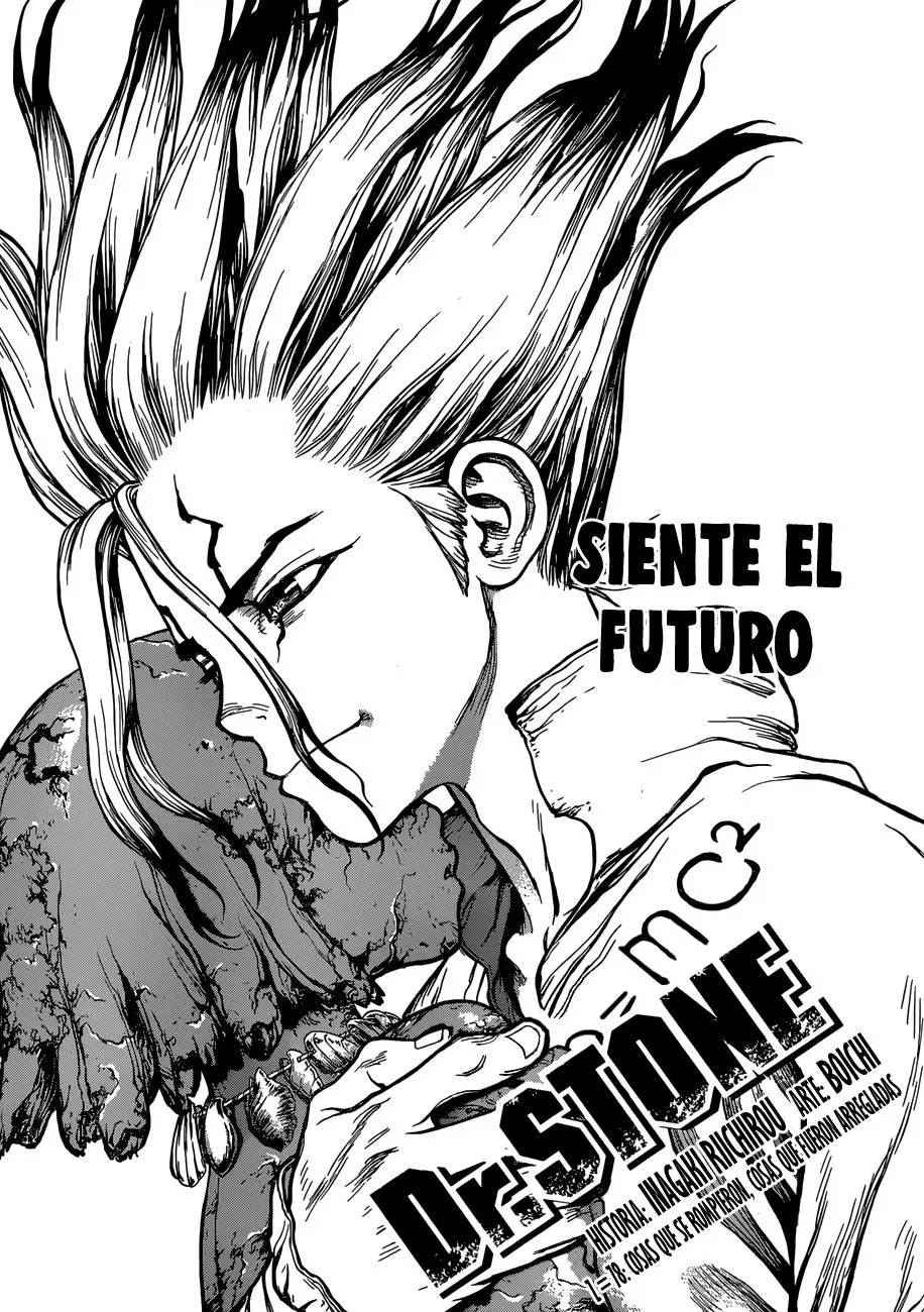 Dr. Stone capítulo 78, página 1