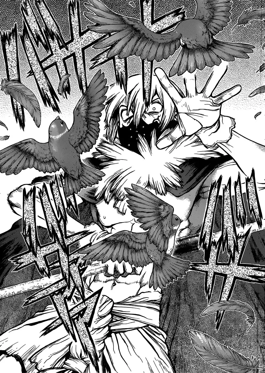 Dr. Stone capítulo 80, página 15