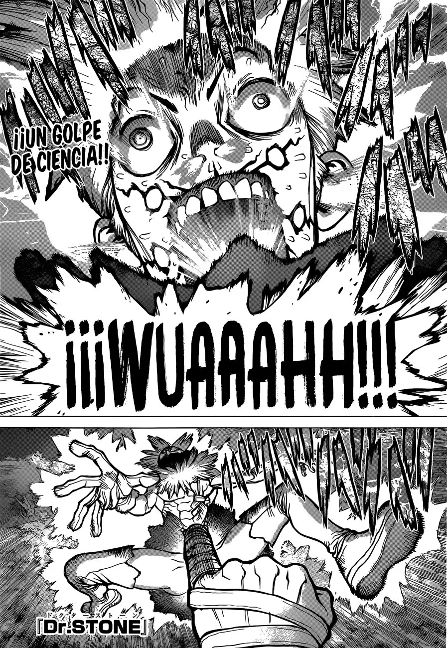 Dr. Stone capítulo 82, página 1