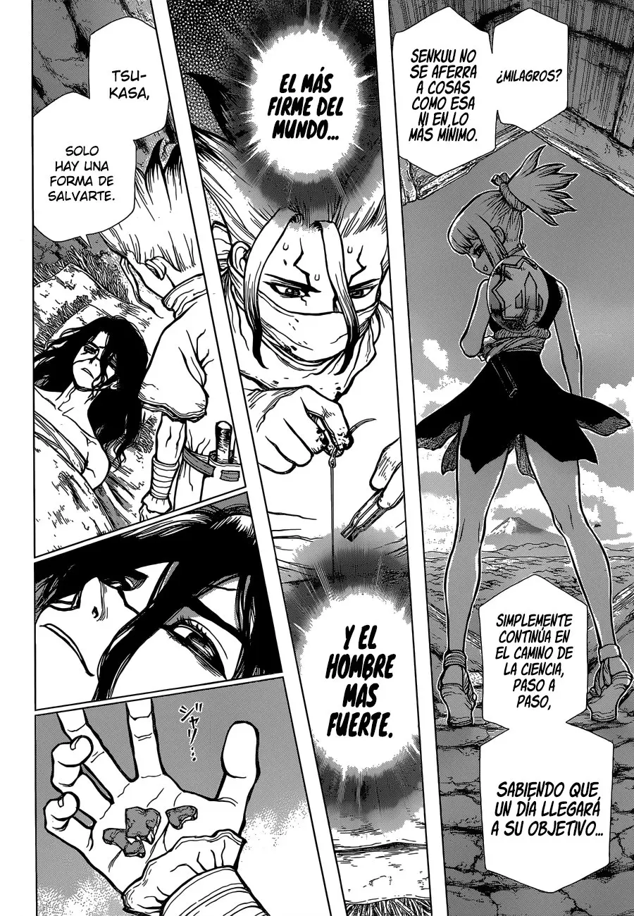 Dr. Stone capítulo 82, página 17