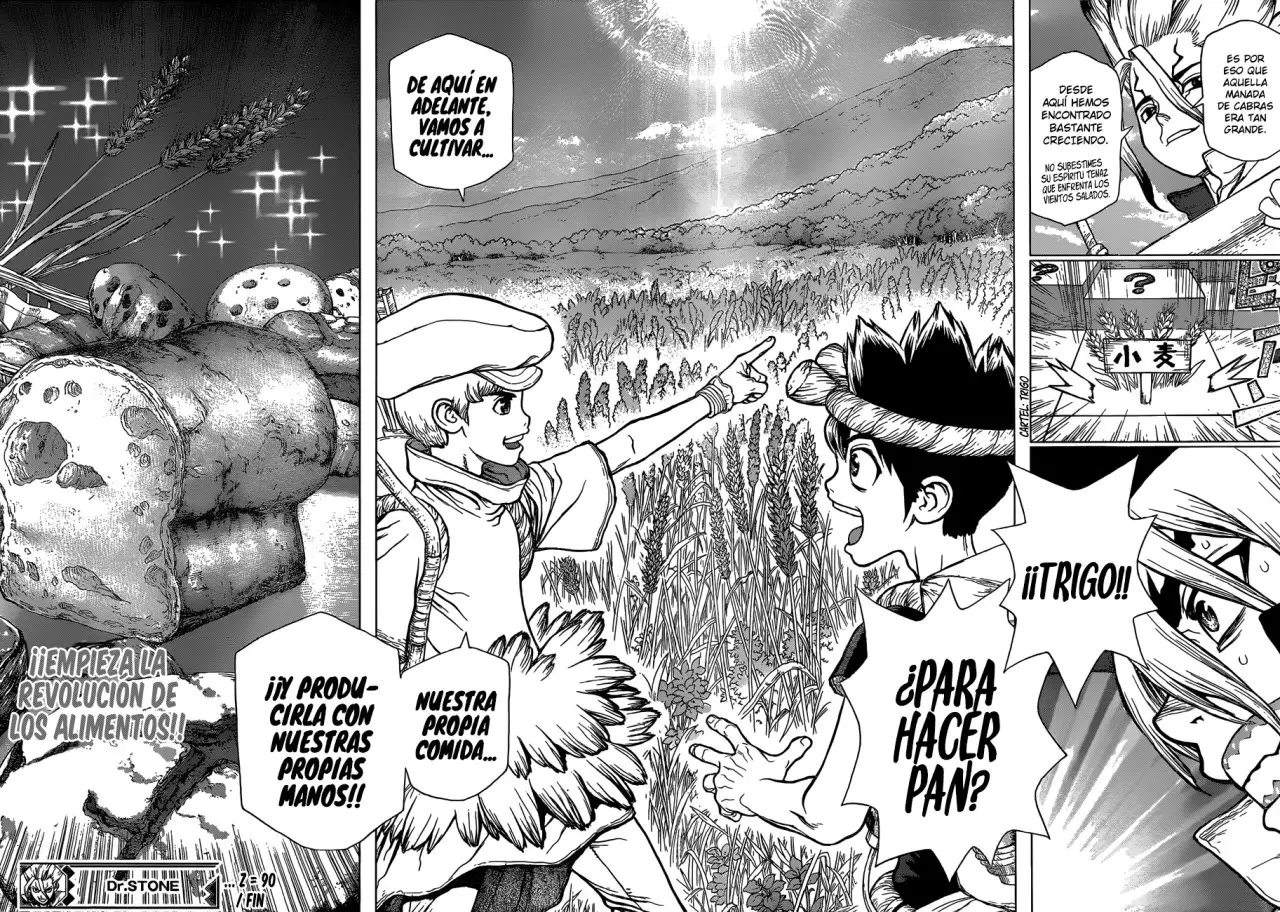 Dr. Stone capítulo 90, página 17