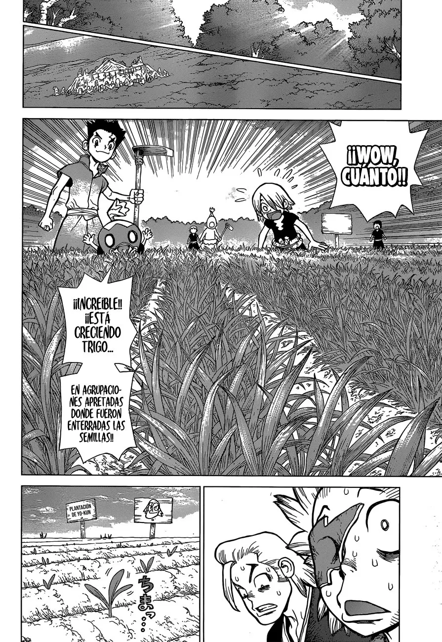 Dr. Stone capítulo 91, página 11