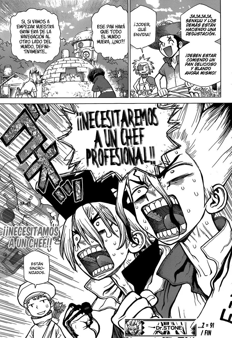 Dr. Stone capítulo 91, página 17