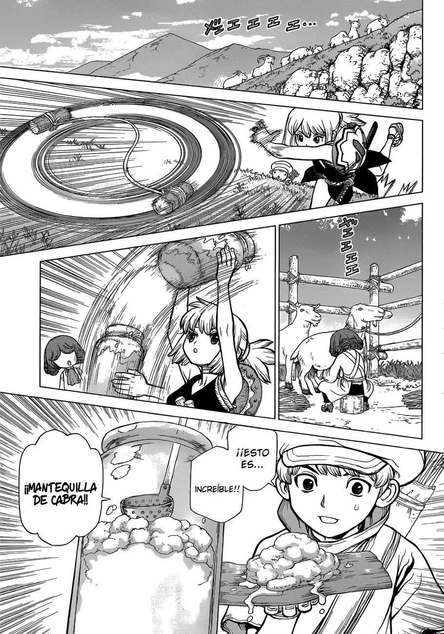 Dr. Stone capítulo 92, página 13