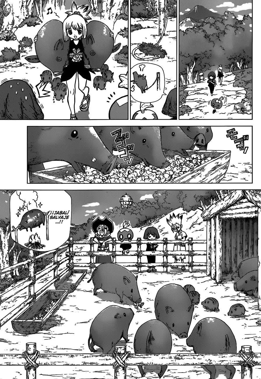 Dr. Stone capítulo 94, página 8