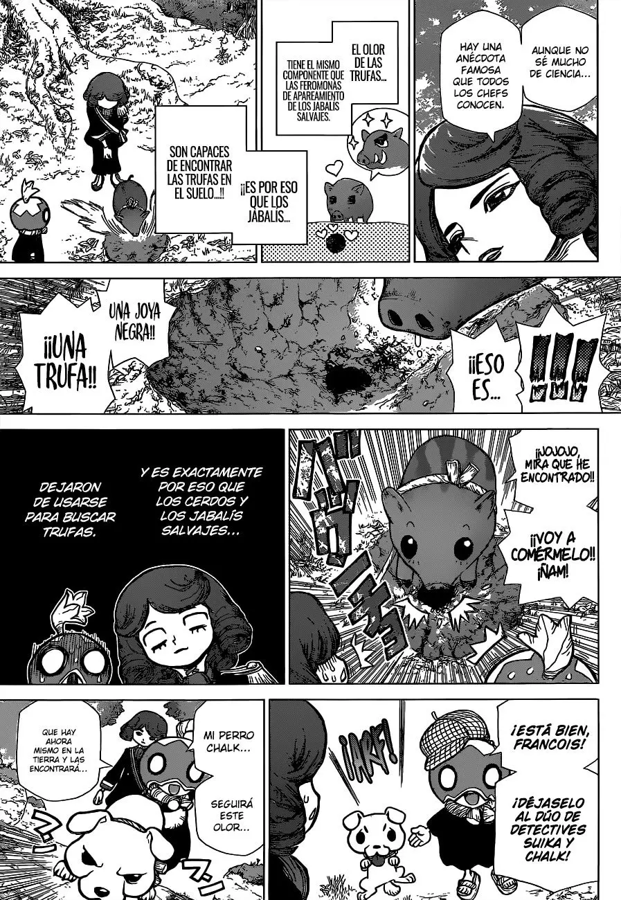 Dr. Stone capítulo 94, página 13