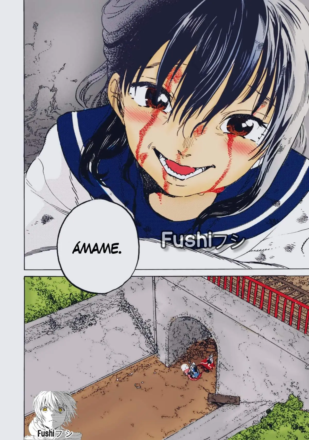Fumetsu no Anata e capítulo 138.2, página 13