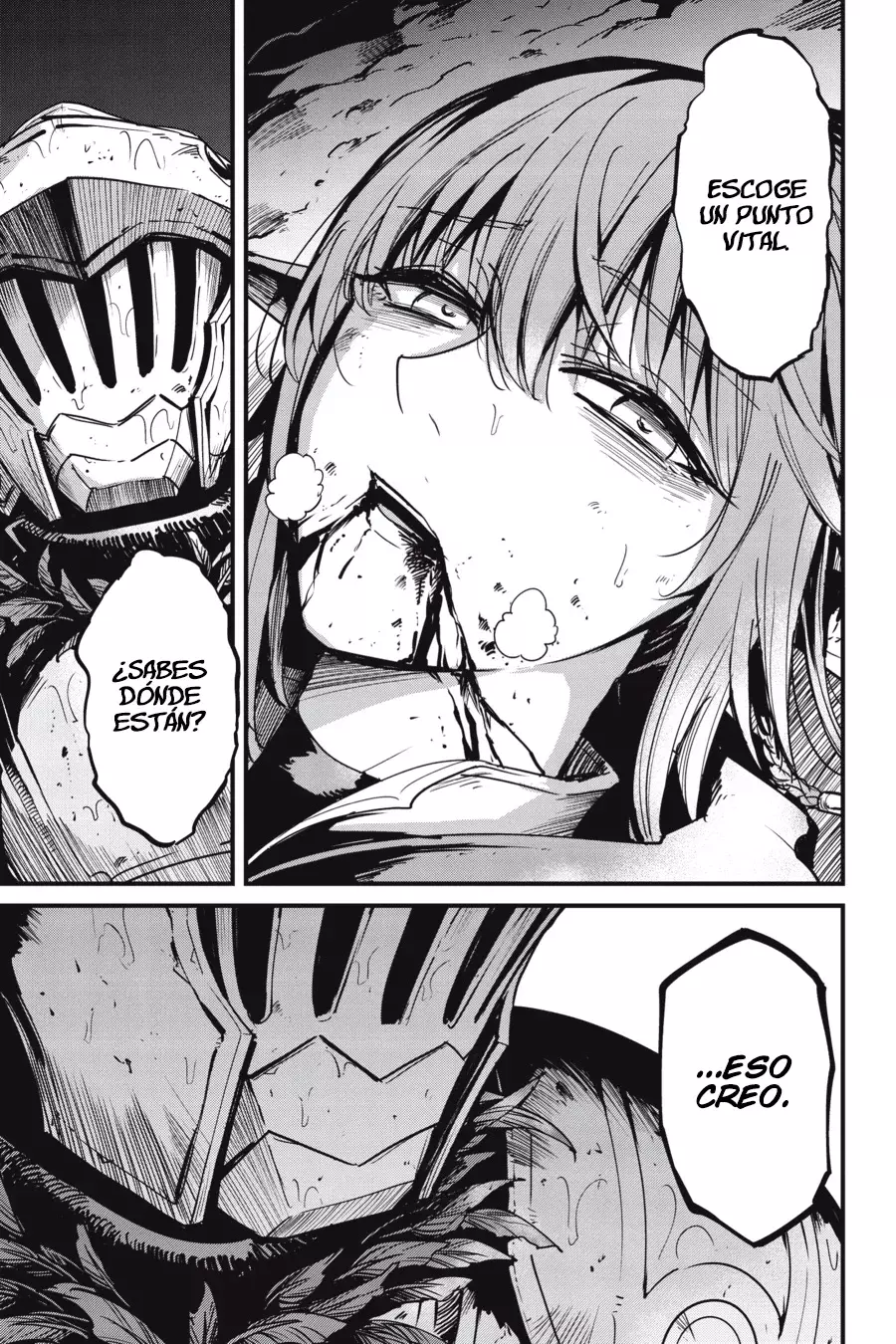 Goblin Slayer: Year One capítulo 107, página 13
