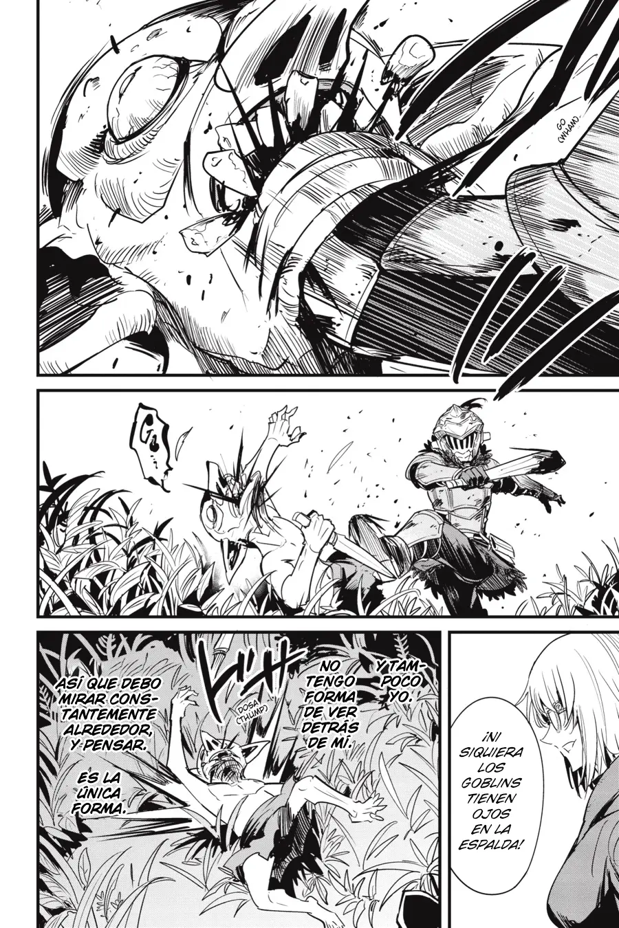 Goblin Slayer: Year One capítulo 126, página 17
