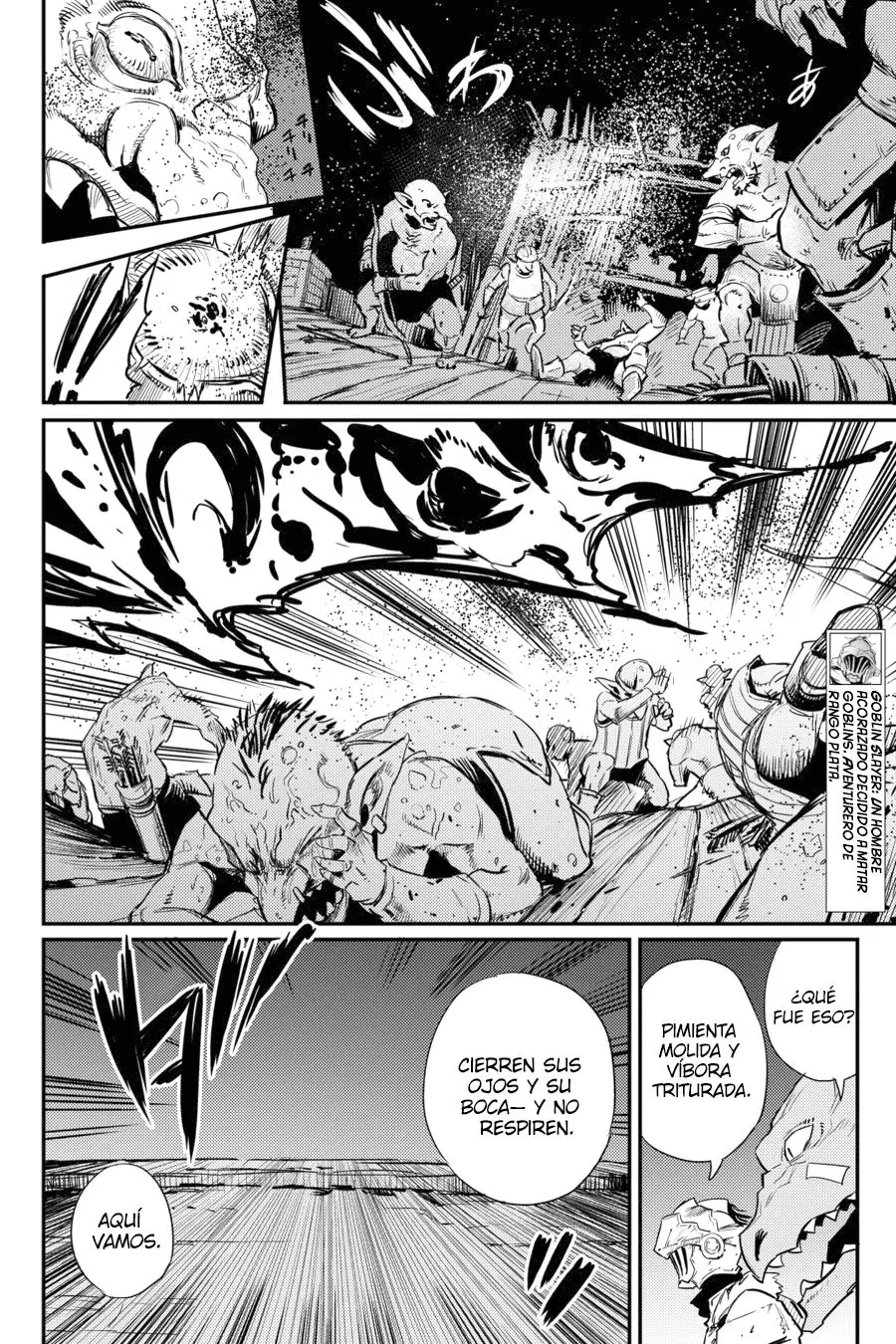 Goblin Slayer capítulo 19, página 8